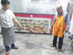 学习技术培训现场